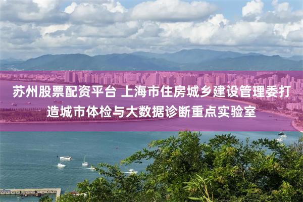 苏州股票配资平台 上海市住房城乡建设管理委打造城市体检与大数据诊断重点实验室