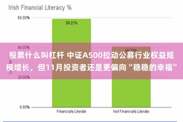 股票什么叫杠杆 中证A500拉动公募行业权益规模增长，但11月投资者还是更偏向“稳稳的幸福”