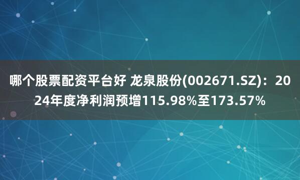 哪个股票配资平台好 龙泉股份(002671.SZ)：2024年度净利润预增115.98%至173.57%