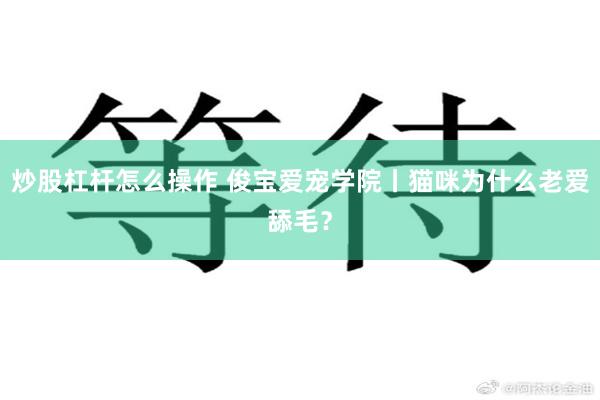 炒股杠杆怎么操作 俊宝爱宠学院丨猫咪为什么老爱舔毛？