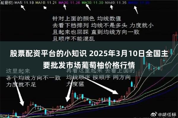 股票配资平台的小知识 2025年3月10日全国主要批发市场葡萄柚价格行情